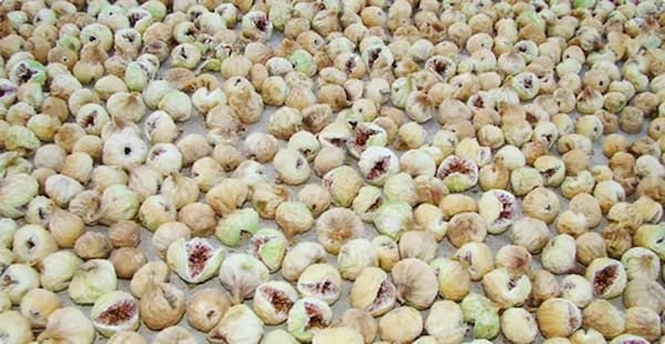 تصویر 5 از قیمت خرید انجیر خشک درجه یک + فروش ویژه